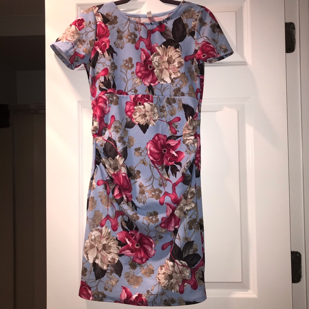 Pinkblush Maternity Dress